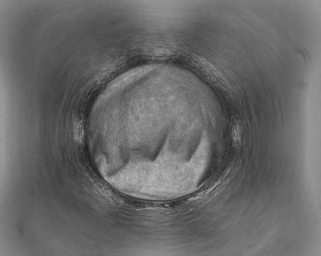 X0000112091204200908251120