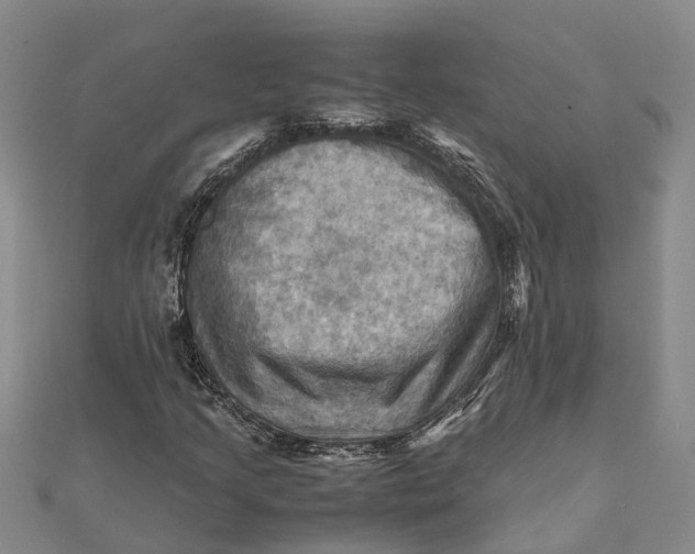 X0000112091205200908251120