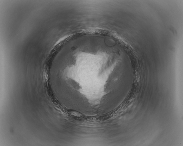 X0000112091206200908251120