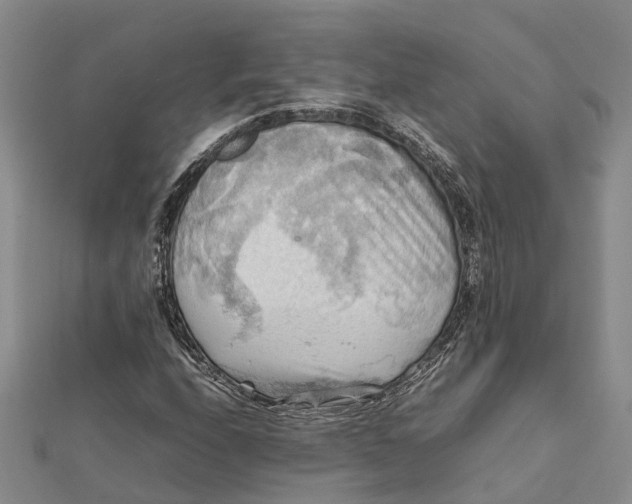 X0000112091208200908251120