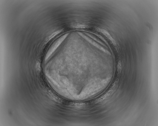 X0000112091209200908251120