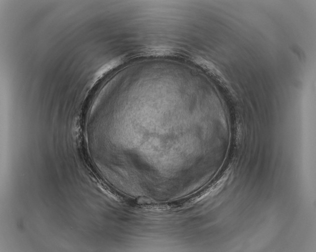 X0000112091210200908251120