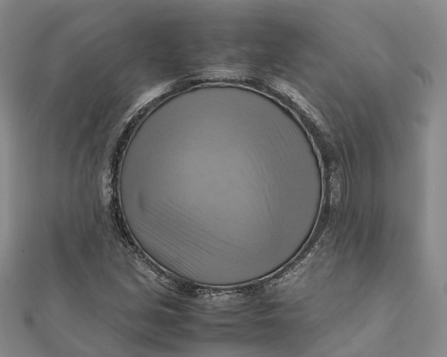 X0000112091213200908251120