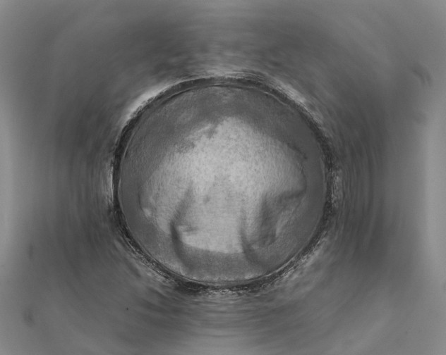 X0000112091214200908251120