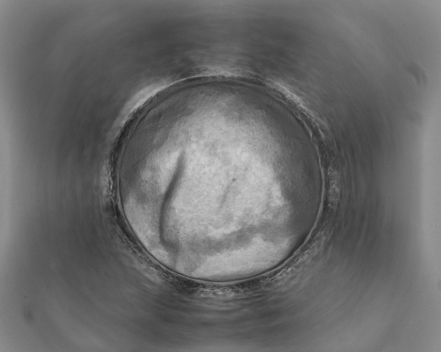 X0000112091215200908251120