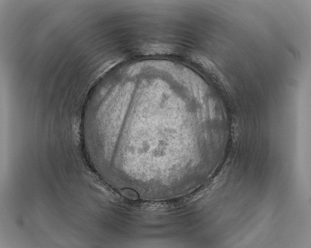 X0000112091217200908251120