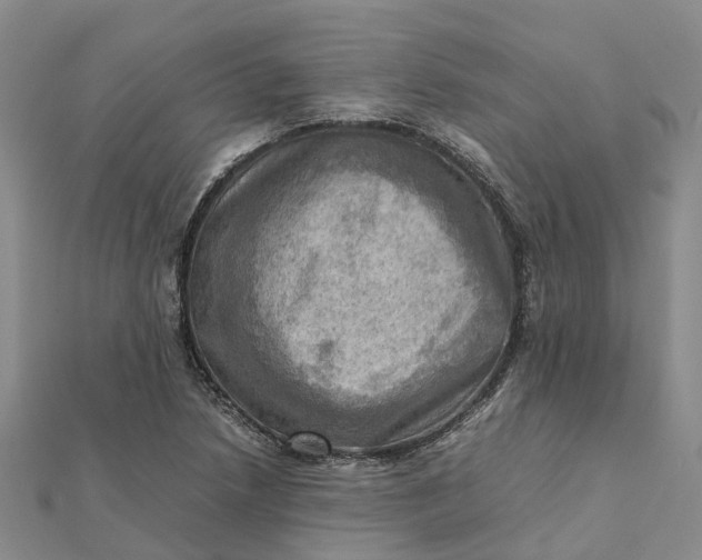 X0000112091218200908251120