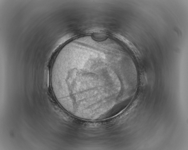 X0000112091219200908251120