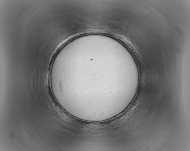 X0000112091220200908251120