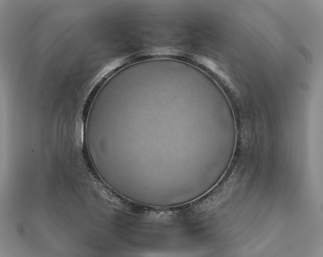 X0000112091221200908251120