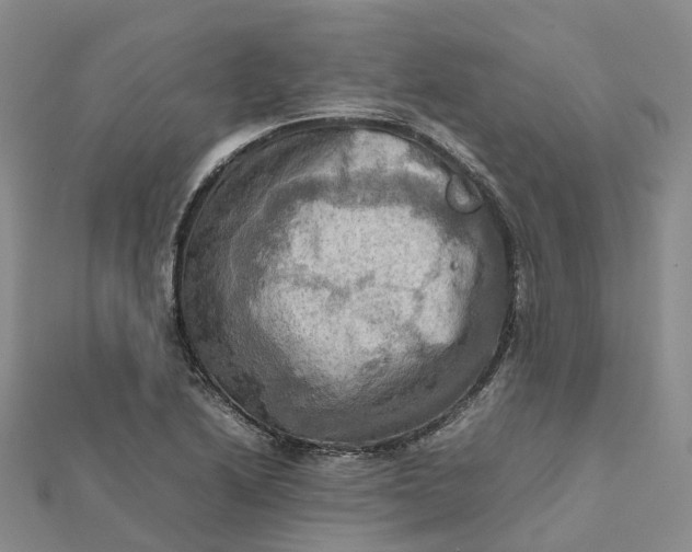 X0000112091222200908251120