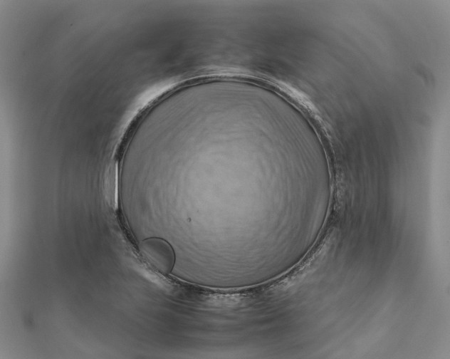 X0000112091223200908251120