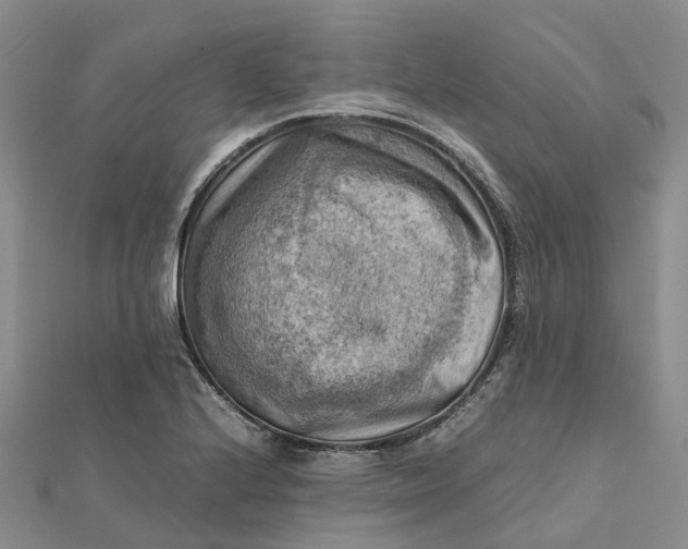 X0000112091224200908251120