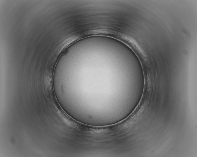 X0000112091225200908251120