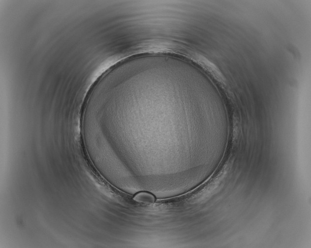 X0000112091226200908251120