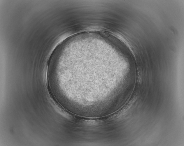 X0000112091227200908251120