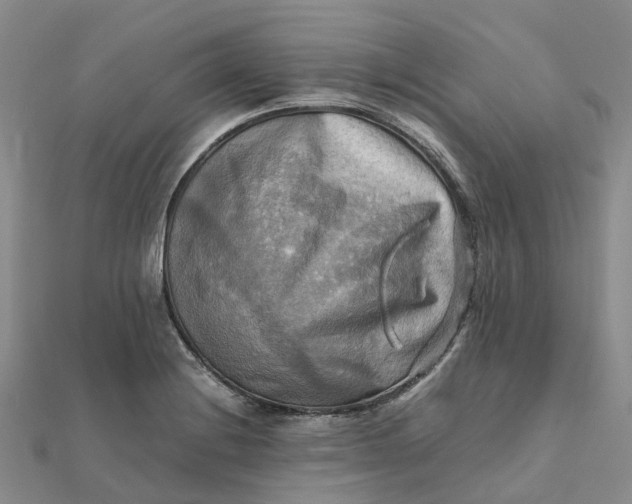 X0000112091228200908251120