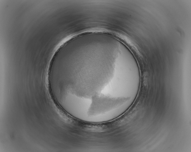 X0000112091229200908251120