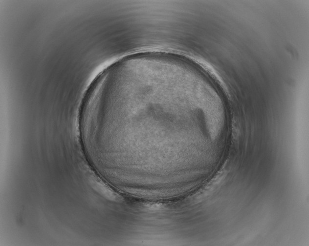 X0000112091230200908251120