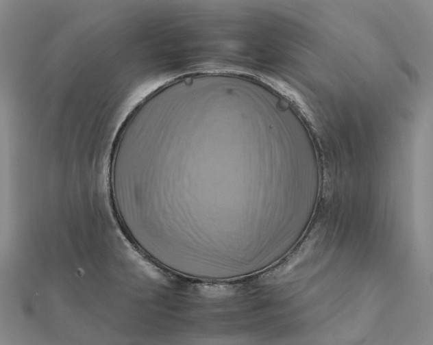 X0000112091231200908251120