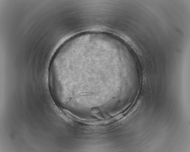 X0000112091232200908251120