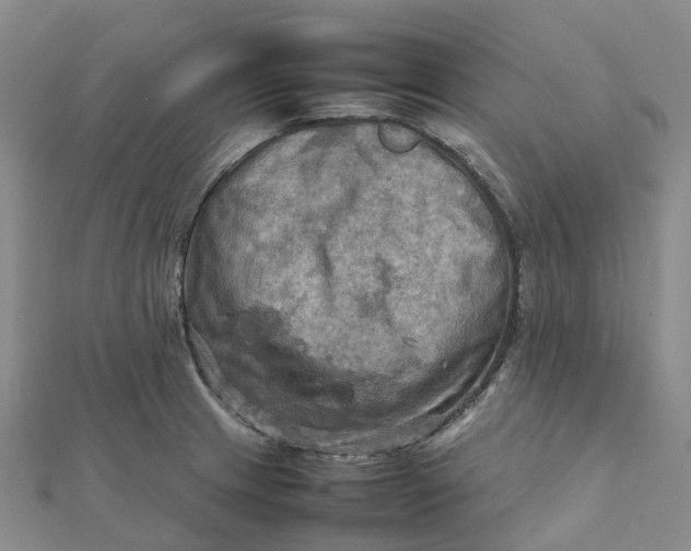 X0000112091233200908251120