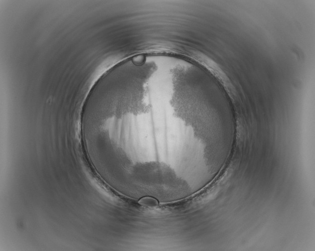 X0000112091234200908251120