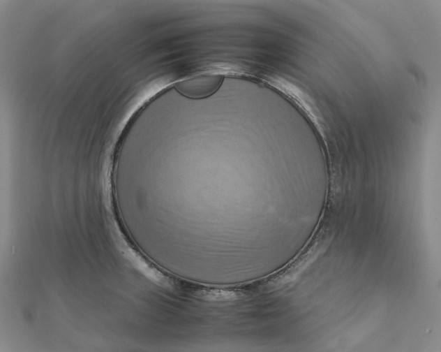 X0000112091235200908251120