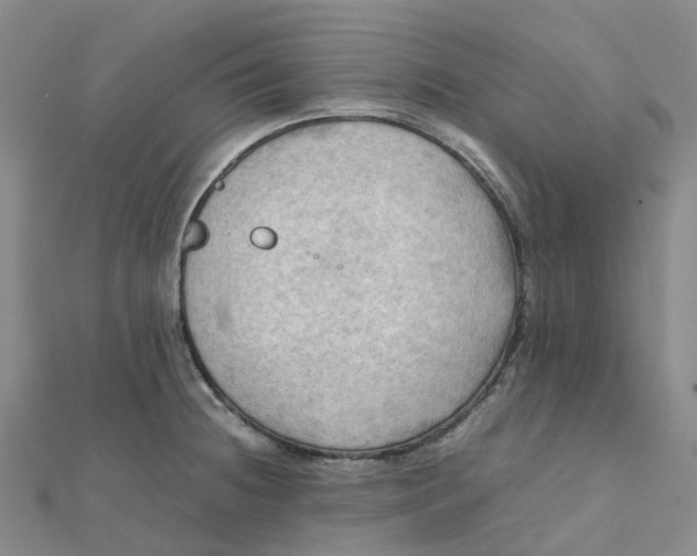 X0000112091236200908251121