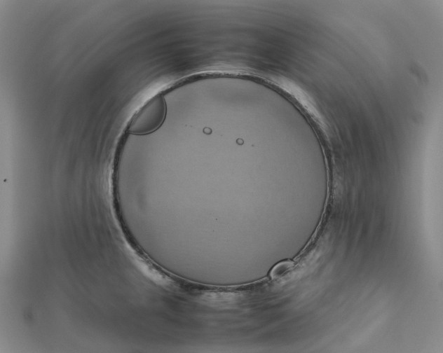 X0000112091237200908251121