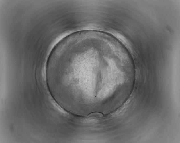 X0000112091238200908251121