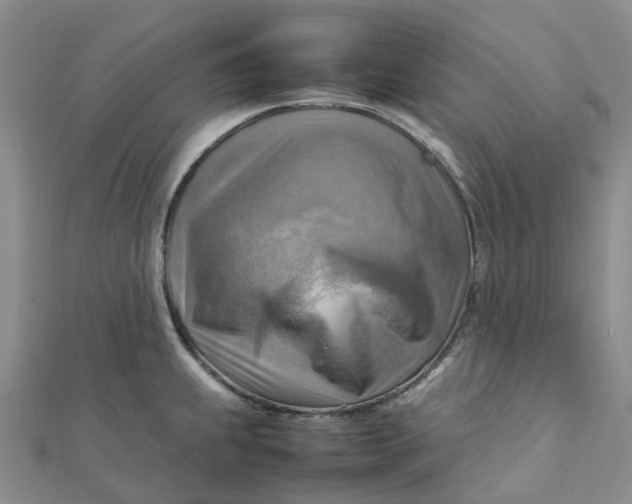 X0000112091239200908251121