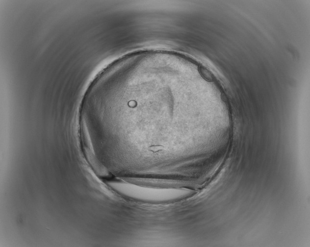 X0000112091240200908251121