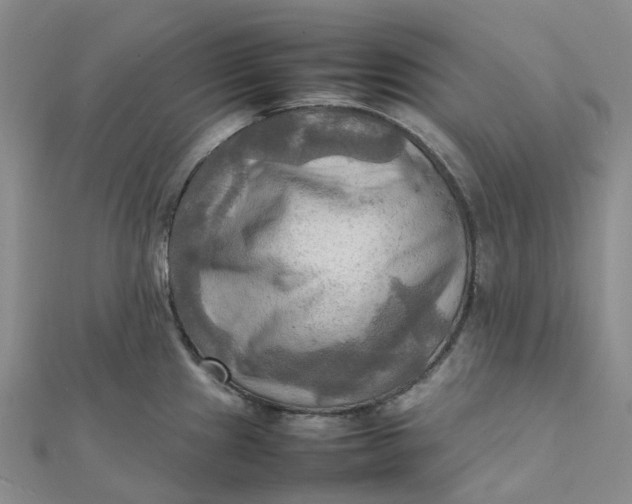 X0000112091241200908251121