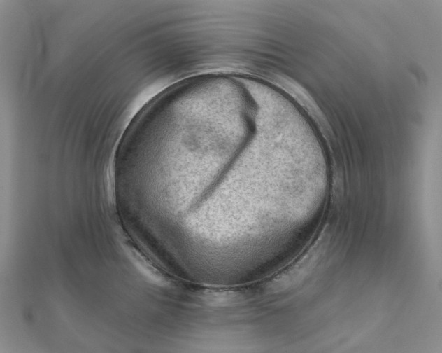 X0000112091242200908251121