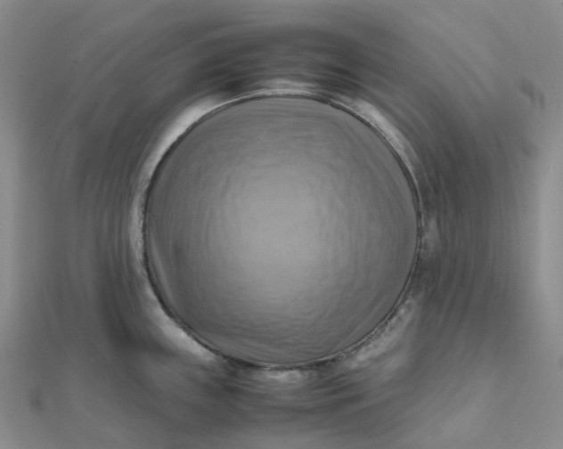 X0000112091243200908251121