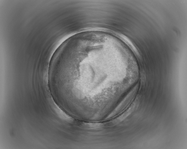 X0000112091244200908251121