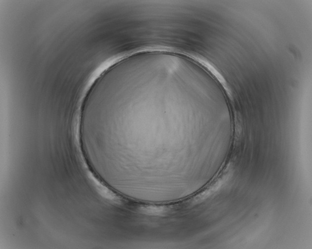 X0000112091245200908251121