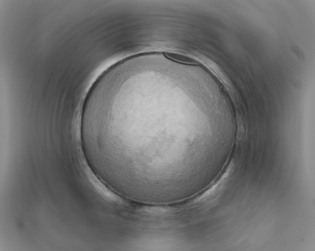 X0000112091246200908251121