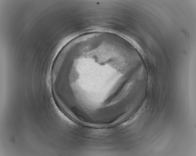 X0000112091247200908251121