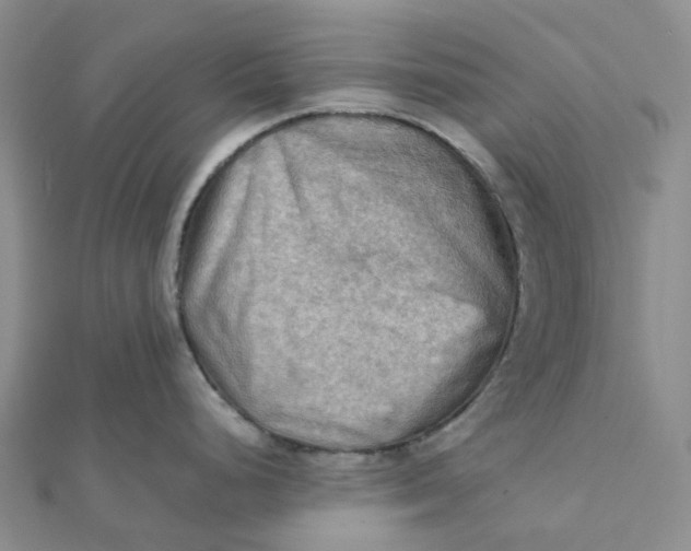 X0000112091248200908251121