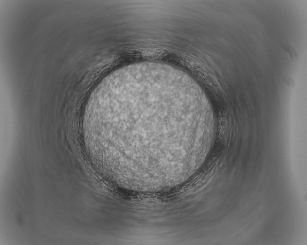 X0000112091249200908251120