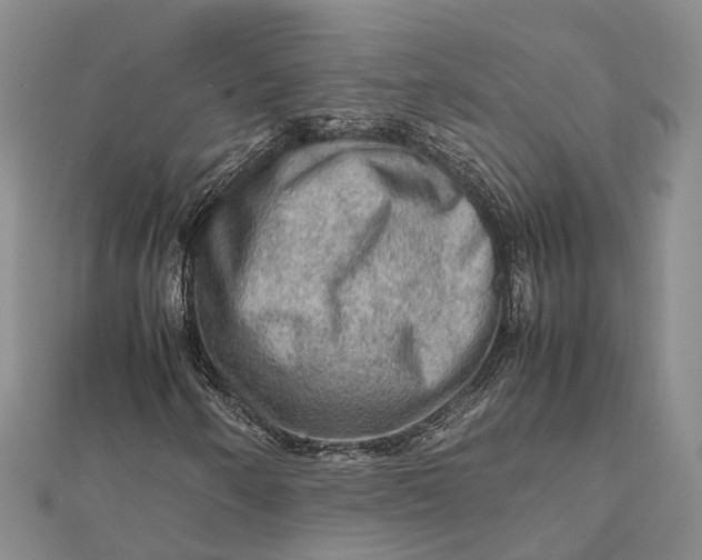 X0000112091250200908251120