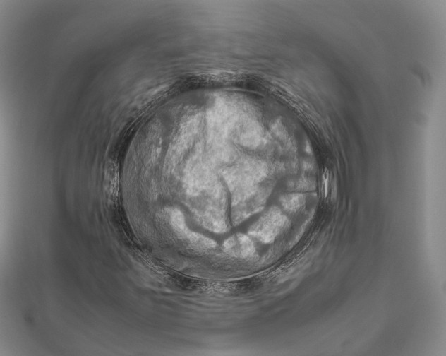 X0000112091251200908251120