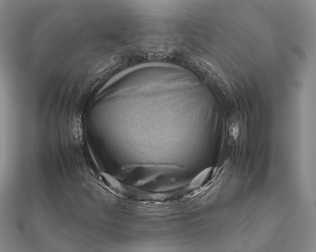 X0000112091252200908251120