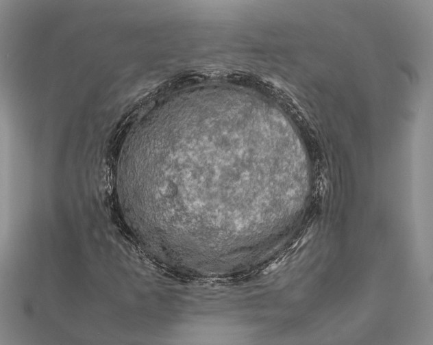 X0000112091253200908251120