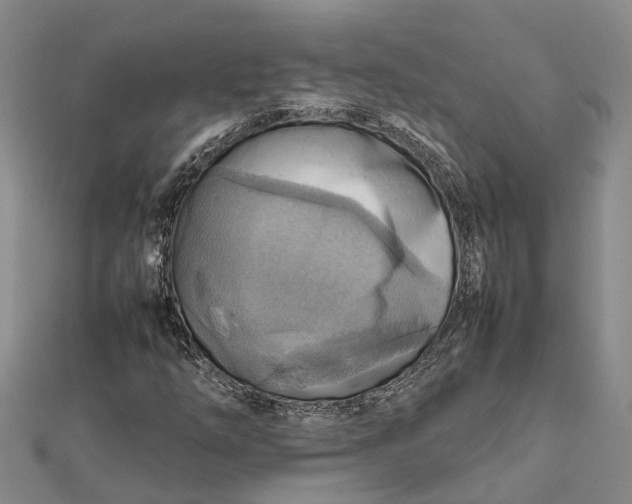 X0000112091254200908251120