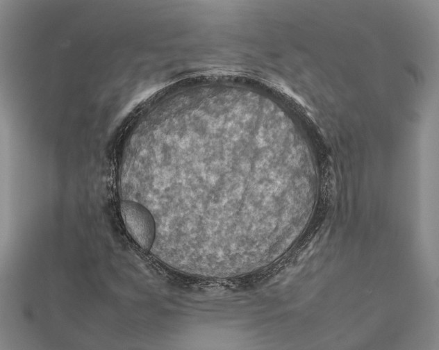 X0000112091255200908251120