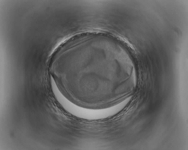 X0000112091256200908251120