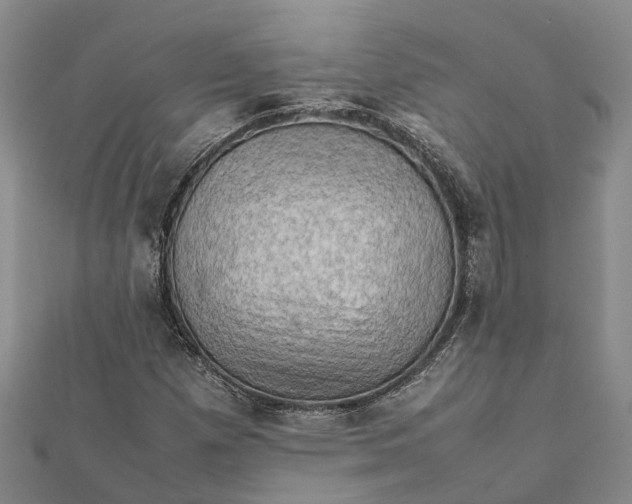 X0000112091257200908251120